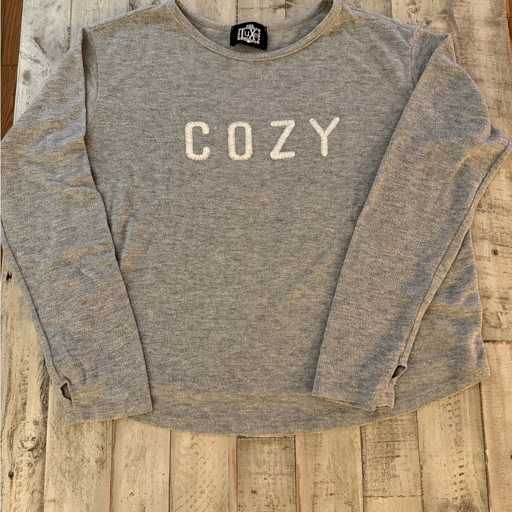 Luxe Gray Cozy Crew Neck Sweater Wimans size L